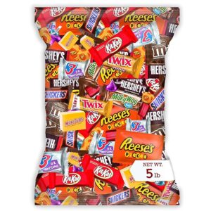 Bulk Chocolate Assortment Variety Pack